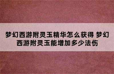 梦幻西游附灵玉精华怎么获得 梦幻西游附灵玉能增加多少法伤